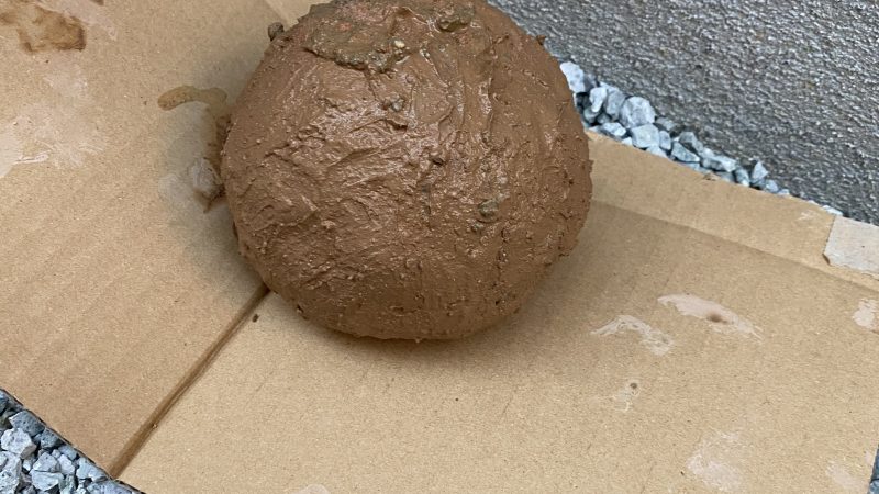 泥だんご？泥ねんど？？(ﾟ∀ﾟ)