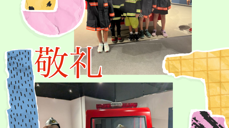 🚒💨ひめじ防災プラザ🚒💨