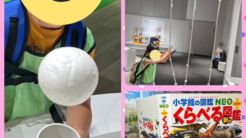 🍛外食体験＆神戸青少年科学館✨🌟