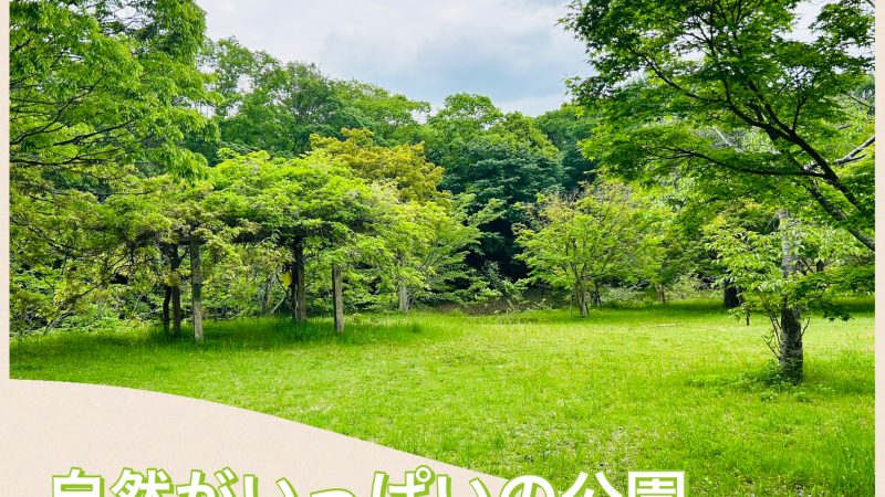 ゴールデンウイーク突入‼️